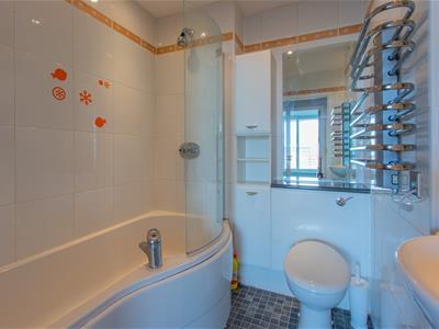 Picture 8